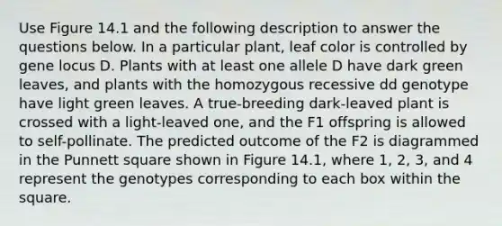 Use Figure 14.1 and the following description to answer the questions below. In a particular plant, leaf color is controlled by gene locus D. Plants with at least one allele D have dark green leaves, and plants with the homozygous recessive dd genotype have light green leaves. A true-breeding dark-leaved plant is crossed with a light-leaved one, and the F1 offspring is allowed to self-pollinate. The predicted outcome of the F2 is diagrammed in the Punnett square shown in Figure 14.1, where 1, 2, 3, and 4 represent the genotypes corresponding to each box within the square.