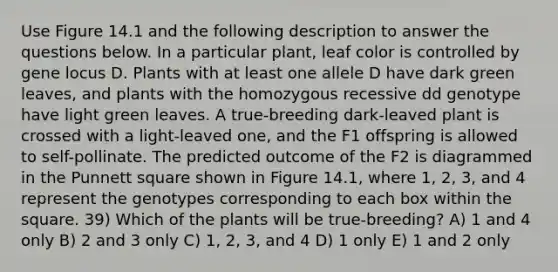 Use Figure 14.1 and the following description to answer the questions below. In a particular plant, leaf color is controlled by gene locus D. Plants with at least one allele D have dark green leaves, and plants with the homozygous recessive dd genotype have light green leaves. A true-breeding dark-leaved plant is crossed with a light-leaved one, and the F1 offspring is allowed to self-pollinate. The predicted outcome of the F2 is diagrammed in the Punnett square shown in Figure 14.1, where 1, 2, 3, and 4 represent the genotypes corresponding to each box within the square. 39) Which of the plants will be true-breeding? A) 1 and 4 only B) 2 and 3 only C) 1, 2, 3, and 4 D) 1 only E) 1 and 2 only