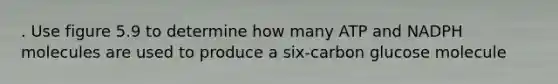 . Use figure 5.9 to determine how many ATP and NADPH molecules are used to produce a six-carbon glucose molecule