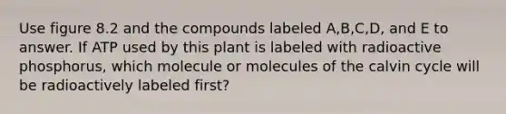 Use figure 8.2 and the compounds labeled A,B,C,D, and E to answer. If ATP used by this plant is labeled with radioactive phosphorus, which molecule or molecules of the calvin cycle will be radioactively labeled first?