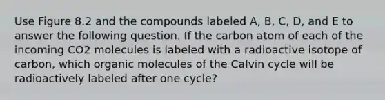 Use Figure 8.2 and the compounds labeled A, B, C, D, and E to answer the following question. If the carbon atom of each of the incoming CO2 molecules is labeled with a radioactive isotope of carbon, which organic molecules of the Calvin cycle will be radioactively labeled after one cycle?