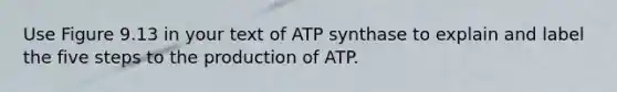 Use Figure 9.13 in your text of ATP synthase to explain and label the five steps to the production of ATP.