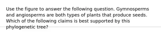 Use the figure to answer the following question. Gymnosperms and angiosperms are both types of plants that produce seeds. Which of the following claims is best supported by this phylogenetic tree?