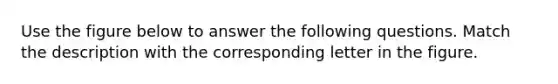 Use the figure below to answer the following questions. Match the description with the corresponding letter in the figure.