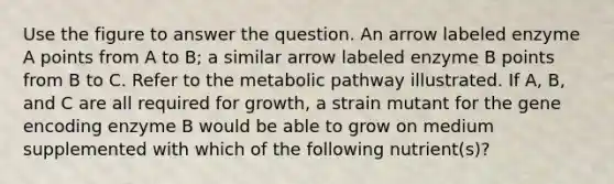 Use the figure to answer the question. An arrow labeled enzyme A points from A to B; a similar arrow labeled enzyme B points from B to C. Refer to the metabolic pathway illustrated. If A, B, and C are all required for growth, a strain mutant for the gene encoding enzyme B would be able to grow on medium supplemented with which of the following nutrient(s)?