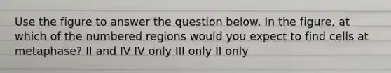 Use the figure to answer the question below. In the figure, at which of the numbered regions would you expect to find cells at metaphase? II and IV IV only III only II only