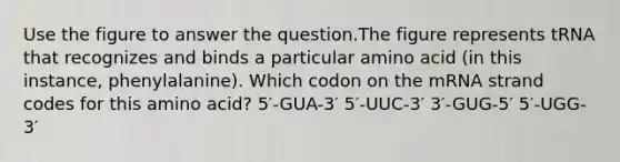 Use the figure to answer the question.The figure represents tRNA that recognizes and binds a particular amino acid (in this instance, phenylalanine). Which codon on the mRNA strand codes for this amino acid? 5′-GUA-3′ 5′-UUC-3′ 3′-GUG-5′ 5′-UGG-3′