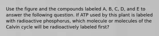 Use the figure and the compounds labeled A, B, C, D, and E to answer the following question. If ATP used by this plant is labeled with radioactive phosphorus, which molecule or molecules of the Calvin cycle will be radioactively labeled first?