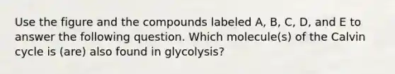 Use the figure and the compounds labeled A, B, C, D, and E to answer the following question. Which molecule(s) of the Calvin cycle is (are) also found in glycolysis?