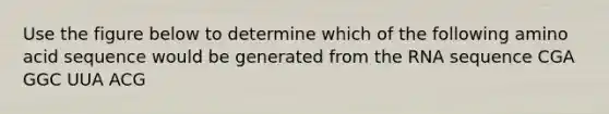 Use the figure below to determine which of the following amino acid sequence would be generated from the RNA sequence CGA GGC UUA ACG