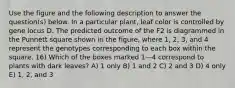 Use the figure and the following description to answer the question(s) below. In a particular plant, leaf color is controlled by gene locus D. The predicted outcome of the F2 is diagrammed in the Punnett square shown in the figure, where 1, 2, 3, and 4 represent the genotypes corresponding to each box within the square. 16) Which of the boxes marked 1—4 correspond to plants with dark leaves? A) 1 only B) 1 and 2 C) 2 and 3 D) 4 only E) 1, 2, and 3