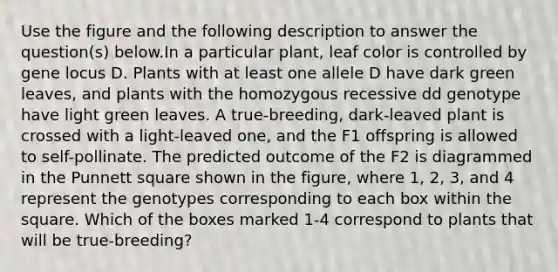 Use the figure and the following description to answer the question(s) below.In a particular plant, leaf color is controlled by gene locus D. Plants with at least one allele D have dark green leaves, and plants with the homozygous recessive dd genotype have light green leaves. A true-breeding, dark-leaved plant is crossed with a light-leaved one, and the F1 offspring is allowed to self-pollinate. The predicted outcome of the F2 is diagrammed in the Punnett square shown in the figure, where 1, 2, 3, and 4 represent the genotypes corresponding to each box within the square. Which of the boxes marked 1-4 correspond to plants that will be true-breeding?