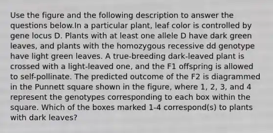 Use the figure and the following description to answer the questions below.In a particular plant, leaf color is controlled by gene locus D. Plants with at least one allele D have dark green leaves, and plants with the homozygous recessive dd genotype have light green leaves. A true-breeding dark-leaved plant is crossed with a light-leaved one, and the F1 offspring is allowed to self-pollinate. The predicted outcome of the F2 is diagrammed in the Punnett square shown in the figure, where 1, 2, 3, and 4 represent the genotypes corresponding to each box within the square. Which of the boxes marked 1-4 correspond(s) to plants with dark leaves?