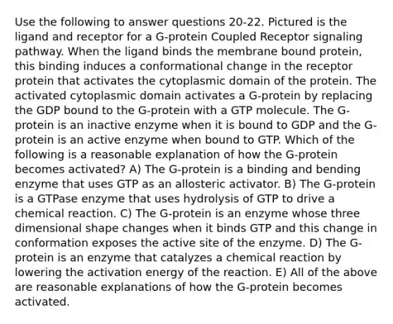 Use the following to answer questions 20-22. Pictured is the ligand and receptor for a G-protein Coupled Receptor signaling pathway. When the ligand binds the membrane bound protein, this binding induces a conformational change in the receptor protein that activates the cytoplasmic domain of the protein. The activated cytoplasmic domain activates a G-protein by replacing the GDP bound to the G-protein with a GTP molecule. The G-protein is an inactive enzyme when it is bound to GDP and the G-protein is an active enzyme when bound to GTP. Which of the following is a reasonable explanation of how the G-protein becomes activated? A) The G-protein is a binding and bending enzyme that uses GTP as an allosteric activator. B) The G-protein is a GTPase enzyme that uses hydrolysis of GTP to drive a chemical reaction. C) The G-protein is an enzyme whose three dimensional shape changes when it binds GTP and this change in conformation exposes the active site of the enzyme. D) The G-protein is an enzyme that catalyzes a chemical reaction by lowering the activation energy of the reaction. E) All of the above are reasonable explanations of how the G-protein becomes activated.