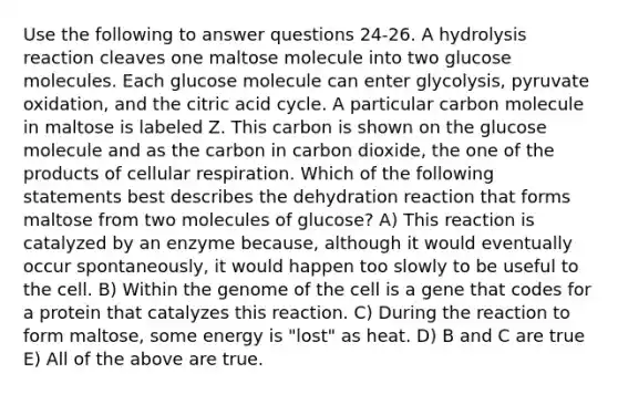 Use the following to answer questions 24-26. A hydrolysis reaction cleaves one maltose molecule into two glucose molecules. Each glucose molecule can enter glycolysis, pyruvate oxidation, and the citric acid cycle. A particular carbon molecule in maltose is labeled Z. This carbon is shown on the glucose molecule and as the carbon in carbon dioxide, the one of the products of cellular respiration. Which of the following statements best describes the dehydration reaction that forms maltose from two molecules of glucose? A) This reaction is catalyzed by an enzyme because, although it would eventually occur spontaneously, it would happen too slowly to be useful to the cell. B) Within the genome of the cell is a gene that codes for a protein that catalyzes this reaction. C) During the reaction to form maltose, some energy is "lost" as heat. D) B and C are true E) All of the above are true.