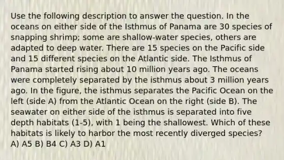 Use the following description to answer the question. In the oceans on either side of the Isthmus of Panama are 30 species of snapping shrimp; some are shallow-water species, others are adapted to deep water. There are 15 species on the Pacific side and 15 different species on the Atlantic side. The Isthmus of Panama started rising about 10 million years ago. The oceans were completely separated by the isthmus about 3 million years ago. In the figure, the isthmus separates the Pacific Ocean on the left (side A) from the Atlantic Ocean on the right (side B). The seawater on either side of the isthmus is separated into five depth habitats (1-5), with 1 being the shallowest. Which of these habitats is likely to harbor the most recently diverged species? A) A5 B) B4 C) A3 D) A1