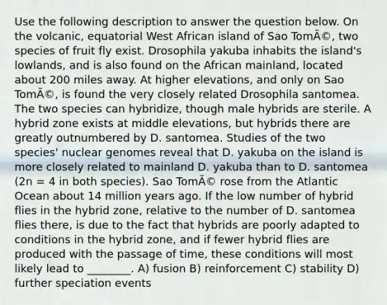 Use the following description to answer the question below. On the volcanic, equatorial West African island of Sao TomÃ©, two species of fruit fly exist. Drosophila yakuba inhabits the island's lowlands, and is also found on the African mainland, located about 200 miles away. At higher elevations, and only on Sao TomÃ©, is found the very closely related Drosophila santomea. The two species can hybridize, though male hybrids are sterile. A hybrid zone exists at middle elevations, but hybrids there are greatly outnumbered by D. santomea. Studies of the two species' nuclear genomes reveal that D. yakuba on the island is more closely related to mainland D. yakuba than to D. santomea (2n = 4 in both species). Sao TomÃ© rose from the Atlantic Ocean about 14 million years ago. If the low number of hybrid flies in the hybrid zone, relative to the number of D. santomea flies there, is due to the fact that hybrids are poorly adapted to conditions in the hybrid zone, and if fewer hybrid flies are produced with the passage of time, these conditions will most likely lead to ________. A) fusion B) reinforcement C) stability D) further speciation events