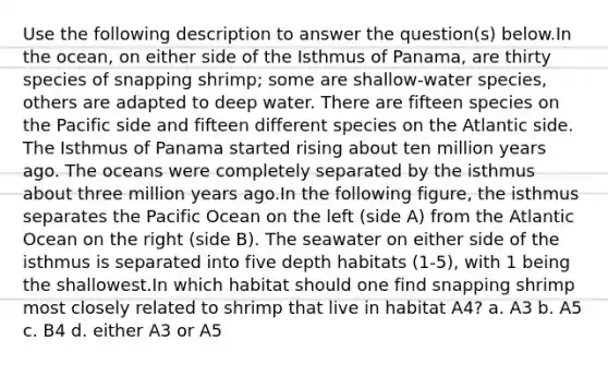 Use the following description to answer the question(s) below.In the ocean, on either side of the Isthmus of Panama, are thirty species of snapping shrimp; some are shallow-water species, others are adapted to deep water. There are fifteen species on the Pacific side and fifteen different species on the Atlantic side. The Isthmus of Panama started rising about ten million years ago. The oceans were completely separated by the isthmus about three million years ago.In the following figure, the isthmus separates the Pacific Ocean on the left (side A) from the Atlantic Ocean on the right (side B). The seawater on either side of the isthmus is separated into five depth habitats (1-5), with 1 being the shallowest.In which habitat should one find snapping shrimp most closely related to shrimp that live in habitat A4? a. A3 b. A5 c. B4 d. either A3 or A5