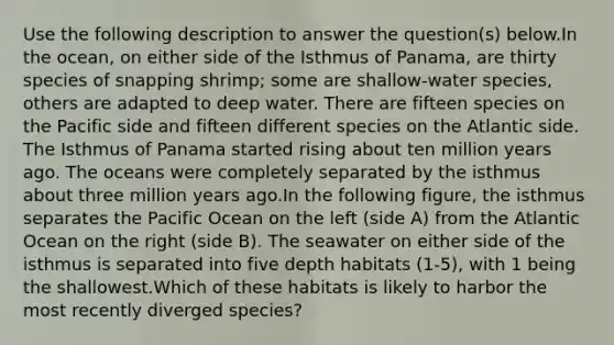 Use the following description to answer the question(s) below.In the ocean, on either side of the Isthmus of Panama, are thirty species of snapping shrimp; some are shallow-water species, others are adapted to deep water. There are fifteen species on the Pacific side and fifteen different species on the Atlantic side. The Isthmus of Panama started rising about ten million years ago. The oceans were completely separated by the isthmus about three million years ago.In the following figure, the isthmus separates the Pacific Ocean on the left (side A) from the Atlantic Ocean on the right (side B). The seawater on either side of the isthmus is separated into five depth habitats (1-5), with 1 being the shallowest.Which of these habitats is likely to harbor the most recently diverged species?