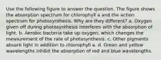 Use the following figure to answer the question. The figure shows the absorption spectrum for chlorophyll a and the action spectrum for photosynthesis. Why are they different? a. Oxygen given off during photosynthesis interferes with the absorption of light. b. Aerobic bacteria take up oxygen, which changes the measurement of the rate of photosynthesis. c. Other pigments absorb light in addition to chlorophyll a. d. Green and yellow wavelengths inhibit the absorption of red and blue wavelengths.