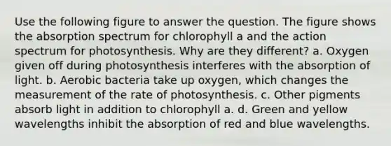 Use the following figure to answer the question. The figure shows the absorption spectrum for chlorophyll a and the action spectrum for photosynthesis. Why are they different? a. Oxygen given off during photosynthesis interferes with the absorption of light. b. Aerobic bacteria take up oxygen, which changes the measurement of the rate of photosynthesis. c. Other pigments absorb light in addition to chlorophyll a. d. Green and yellow wavelengths inhibit the absorption of red and blue wavelengths.