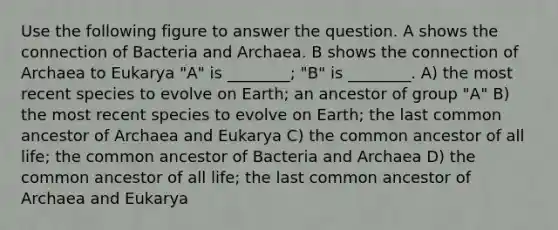 Use the following figure to answer the question. A shows the connection of Bacteria and Archaea. B shows the connection of Archaea to Eukarya "A" is ________; "B" is ________. A) the most recent species to evolve on Earth; an ancestor of group "A" B) the most recent species to evolve on Earth; the last common ancestor of Archaea and Eukarya C) the common ancestor of all life; the common ancestor of Bacteria and Archaea D) the common ancestor of all life; the last common ancestor of Archaea and Eukarya