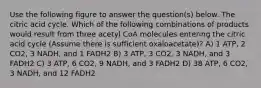 Use the following figure to answer the question(s) below. The citric acid cycle. Which of the following combinations of products would result from three acetyl CoA molecules entering the citric acid cycle (Assume there is sufficient oxaloacetate)? A) 1 ATP, 2 CO2, 3 NADH, and 1 FADH2 B) 3 ATP, 3 CO2, 3 NADH, and 3 FADH2 C) 3 ATP, 6 CO2, 9 NADH, and 3 FADH2 D) 38 ATP, 6 CO2, 3 NADH, and 12 FADH2