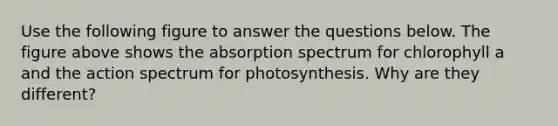 Use the following figure to answer the questions below. The figure above shows the absorption spectrum for chlorophyll a and the action spectrum for photosynthesis. Why are they different?