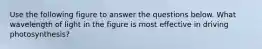 Use the following figure to answer the questions below. What wavelength of light in the figure is most effective in driving photosynthesis?