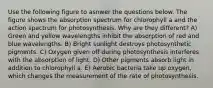 Use the following figure to asnwer the questions below. The figure shows the absorption spectrum for chlorophyll a and the action spectrum for photosynthesis. Why are they different? A) Green and yellow wavelengths inhibit the absorption of red and blue wavelengths. B) Bright sunlight destroys photosynthetic pigments. C) Oxygen given off during photosynthesis interferes with the absorption of light. D) Other pigments absorb light in addition to chlorophyll a. E) Aerobic bacteria take up oxygen, which changes the measurement of the rate of photosynthesis.