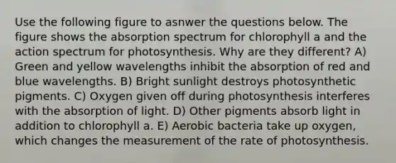 Use the following figure to asnwer the questions below. The figure shows the absorption spectrum for chlorophyll a and the action spectrum for photosynthesis. Why are they different? A) Green and yellow wavelengths inhibit the absorption of red and blue wavelengths. B) Bright sunlight destroys photosynthetic pigments. C) Oxygen given off during photosynthesis interferes with the absorption of light. D) Other pigments absorb light in addition to chlorophyll a. E) Aerobic bacteria take up oxygen, which changes the measurement of the rate of photosynthesis.