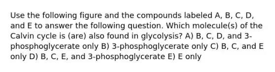 Use the following figure and the compounds labeled A, B, C, D, and E to answer the following question. Which molecule(s) of the Calvin cycle is (are) also found in glycolysis? A) B, C, D, and 3-phosphoglycerate only B) 3-phosphoglycerate only C) B, C, and E only D) B, C, E, and 3-phosphoglycerate E) E only