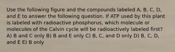 Use the following figure and the compounds labeled A, B, C, D, and E to answer the following question. If ATP used by this plant is labeled with radioactive phosphorus, which molecule or molecules of the Calvin cycle will be radioactively labeled first? A) B and C only B) B and E only C) B, C, and D only D) B, C, D, and E E) B only