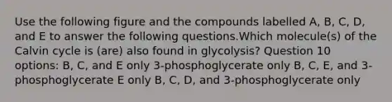 Use the following figure and the compounds labelled A, B, C, D, and E to answer the following questions.Which molecule(s) of the Calvin cycle is (are) also found in glycolysis? Question 10 options: B, C, and E only 3-phosphoglycerate only B, C, E, and 3-phosphoglycerate E only B, C, D, and 3-phosphoglycerate only