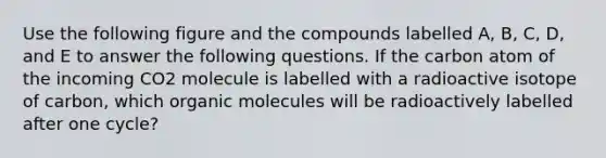 Use the following figure and the compounds labelled A, B, C, D, and E to answer the following questions. If the carbon atom of the incoming CO2 molecule is labelled with a radioactive isotope of carbon, which organic molecules will be radioactively labelled after one cycle?