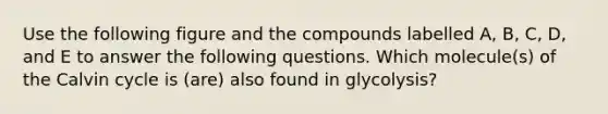 Use the following figure and the compounds labelled A, B, C, D, and E to answer the following questions. Which molecule(s) of the Calvin cycle is (are) also found in glycolysis?