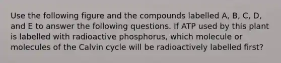 Use the following figure and the compounds labelled A, B, C, D, and E to answer the following questions. If ATP used by this plant is labelled with radioactive phosphorus, which molecule or molecules of the Calvin cycle will be radioactively labelled first?