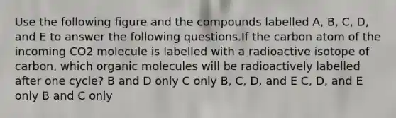 Use the following figure and the compounds labelled A, B, C, D, and E to answer the following questions.If the carbon atom of the incoming CO2 molecule is labelled with a radioactive isotope of carbon, which organic molecules will be radioactively labelled after one cycle? B and D only C only B, C, D, and E C, D, and E only B and C only