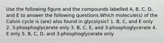 Use the following figure and the compounds labelled A, B, C, D, and E to answer the following questions.Which molecule(s) of the Calvin cycle is (are) also found in glycolysis? 1. B, C, and E only 2. 3-phosphoglycerate only 3. B, C, E, and 3-phosphoglycerate 4. E only 5. B, C, D, and 3-phosphoglycerate only