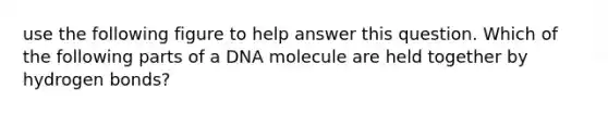 use the following figure to help answer this question. Which of the following parts of a DNA molecule are held together by hydrogen bonds?