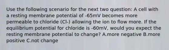 Use the following scenario for the next two question: A cell with a resting membrane potential of -65mV becomes more permeable to chloride (Cl-) allowing the ion to flow more. If the equilibrium potential for chloride is -60mV, would you expect the resting membrane potential to change? A.more negative B.more positive C.not change