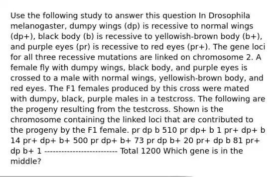 Use the following study to answer this question In Drosophila melanogaster, dumpy wings (dp) is recessive to normal wings (dp+), black body (b) is recessive to yellowish-brown body (b+), and purple eyes (pr) is recessive to red eyes (pr+). The gene loci for all three recessive mutations are linked on chromosome 2. A female fly with dumpy wings, black body, and purple eyes is crossed to a male with normal wings, yellowish-brown body, and red eyes. The F1 females produced by this cross were mated with dumpy, black, purple males in a testcross. The following are the progeny resulting from the testcross. Shown is the chromosome containing the linked loci that are contributed to the progeny by the F1 female. pr dp b 510 pr dp+ b 1 pr+ dp+ b 14 pr+ dp+ b+ 500 pr dp+ b+ 73 pr dp b+ 20 pr+ dp b 81 pr+ dp b+ 1 -------------------------- Total 1200 Which gene is in the middle?