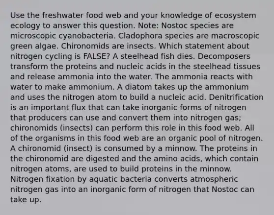 Use the freshwater food web and your knowledge of ecosystem ecology to answer this question. Note: Nostoc species are microscopic cyanobacteria. Cladophora species are macroscopic green algae. Chironomids are insects. Which statement about nitrogen cycling is FALSE? A steelhead fish dies. Decomposers transform the proteins and nucleic acids in the steelhead tissues and release ammonia into the water. The ammonia reacts with water to make ammonium. A diatom takes up the ammonium and uses the nitrogen atom to build a nucleic acid. Denitrification is an important flux that can take inorganic forms of nitrogen that producers can use and convert them into nitrogen gas; chironomids (insects) can perform this role in this food web. All of the organisms in this food web are an organic pool of nitrogen. A chironomid (insect) is consumed by a minnow. The proteins in the chironomid are digested and the amino acids, which contain nitrogen atoms, are used to build proteins in the minnow. Nitrogen fixation by aquatic bacteria converts atmospheric nitrogen gas into an inorganic form of nitrogen that Nostoc can take up.