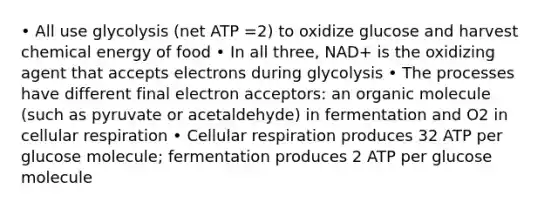 • All use glycolysis (net ATP =2) to oxidize glucose and harvest chemical energy of food • In all three, NAD+ is the oxidizing agent that accepts electrons during glycolysis • The processes have different final electron acceptors: an organic molecule (such as pyruvate or acetaldehyde) in fermentation and O2 in cellular respiration • Cellular respiration produces 32 ATP per glucose molecule; fermentation produces 2 ATP per glucose molecule