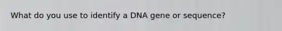 What do you use to identify a DNA gene or sequence?