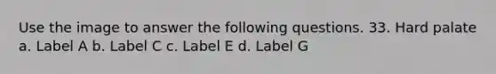 Use the image to answer the following questions. 33. Hard palate a. Label A b. Label C с. Label E d. Label G