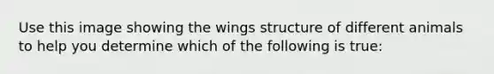 Use this image showing the wings structure of different animals to help you determine which of the following is true: