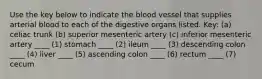 Use the key below to indicate the blood vessel that supplies arterial blood to each of the digestive organs listed. Key: (a) celiac trunk (b) superior mesenteric artery (c) inferior mesenteric artery ____ (1) stomach ____ (2) ileum ____ (3) descending colon ____ (4) liver ____ (5) ascending colon ____ (6) rectum ____ (7) cecum