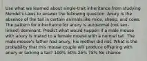 Use what we learned about single-trait inheritance from studying Mendel's Laws to answer the following question. Anury is the absence of the tail in certain animals like mice, sheep, and cows. The pattern for inheritance for anury is autosomal (not sex-linked) dominant. Predict what would happen if a male mouse with anury is mated to a female mouse with a normal tail. The male mouse's father had anury, his mother did not. What is the probability that this mouse couple will produce offspring with anury or lacking a tail? 100% 50% 25% 75% No chance