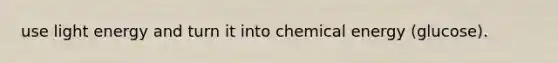 use light energy and turn it into <a href='https://www.questionai.com/knowledge/ku7RjqevWh-chemical-energy' class='anchor-knowledge'>chemical energy</a> (glucose).